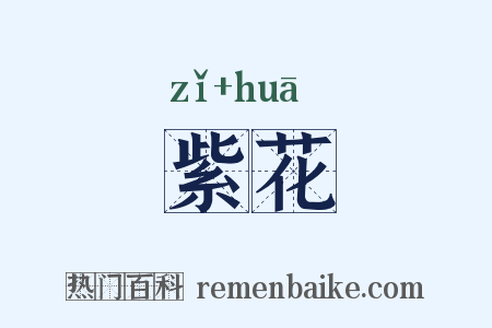 紫花是什么意思的图片